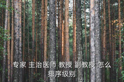 专家 主治医师 教授 副教授 怎么排序级别