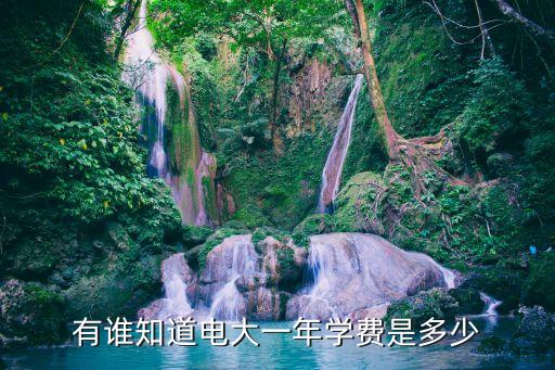 有谁知道电大一年学费是多少