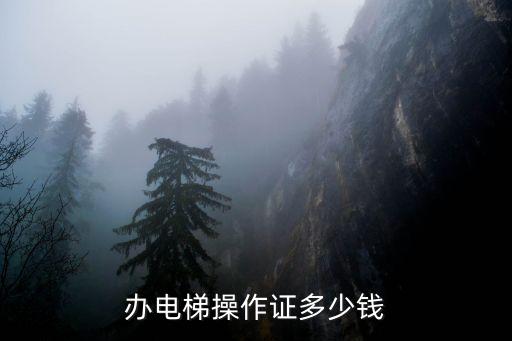 武汉电梯证怎么考要多少钱，考电梯从业资格证需要多少