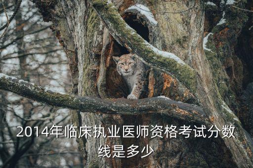 2014年临床执业医师资格考试分数线是多少