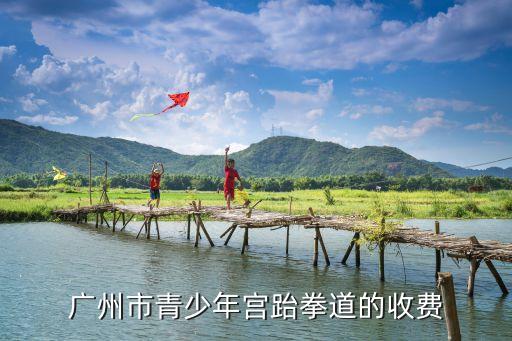 广州市青少年宫跆拳道的收费