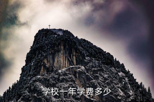 学校一年学费多少