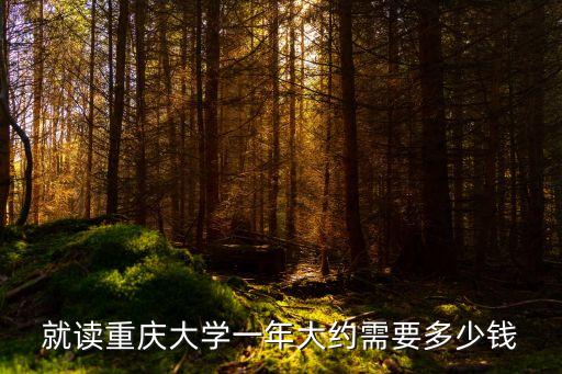 就读重庆大学一年大约需要多少钱