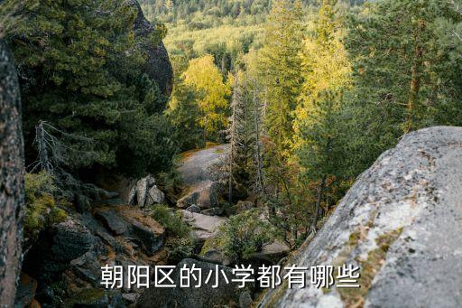 朝阳区的小学都有哪些