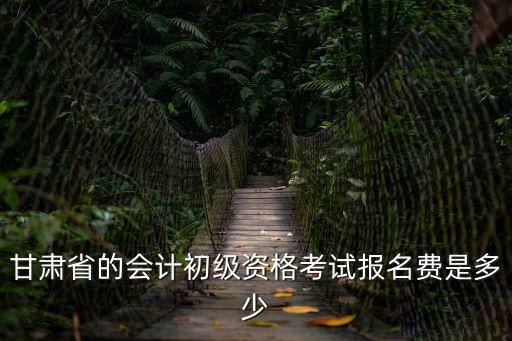 甘肃初级报名费多少钱，甘肃初级药师考试报名费是多少
