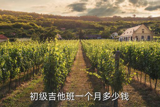 吉他初级培训班多少钱一个月，初级吉他班一个月多少钱