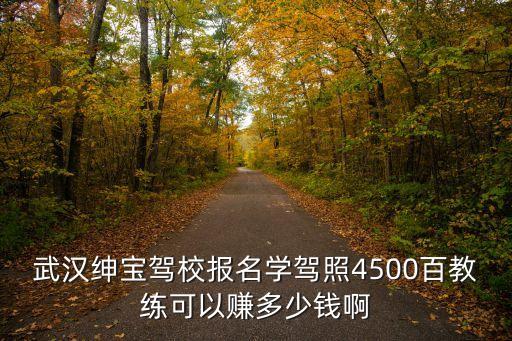 武汉绅宝驾校报名学驾照4500百教练可以赚多少钱啊