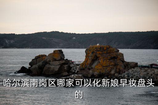 哈尔滨南岗区哪家可以化新娘早妆盘头的