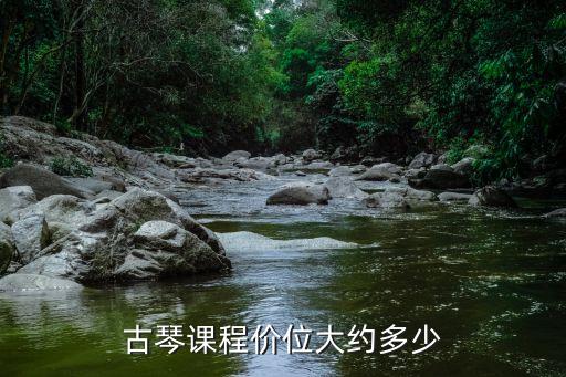 古琴课一般多少钱，古琴课程价位大约多少
