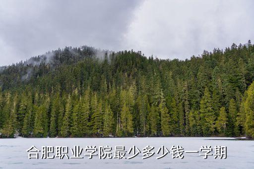 合肥职业学院最少多少钱一学期