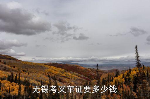 无锡考叉车证要多少钱