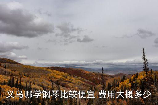 义乌哪学钢琴比较便宜 费用大概多少