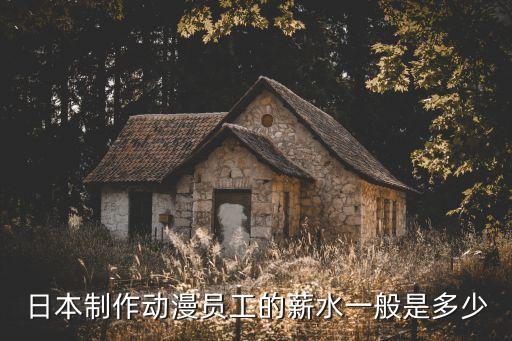动漫工资一般多少钱，现在学动漫专业的基本工资是多少