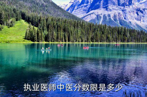 执业医师中医分数限是多少