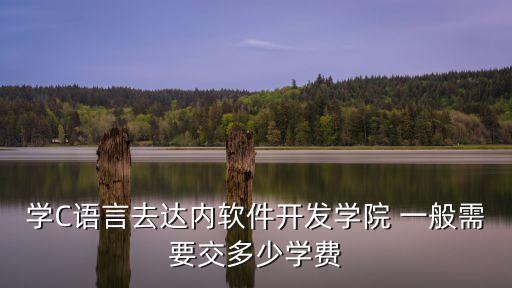 学C语言去达内软件开发学院 一般需要交多少学费