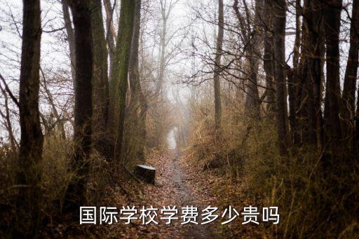 国际小学学费多少钱一个月多少钱啊，小一想读国际学校深圳 多少钱