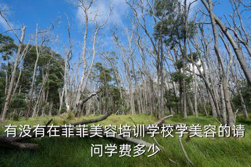 有没有在菲菲美容培训学校学美容的请问学费多少