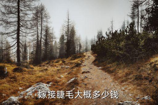 嫁接睫毛大概多少钱