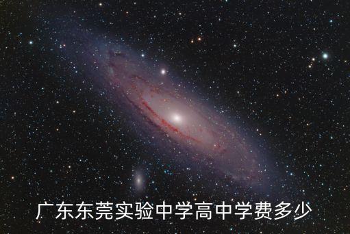广东东莞实验中学高中学费多少