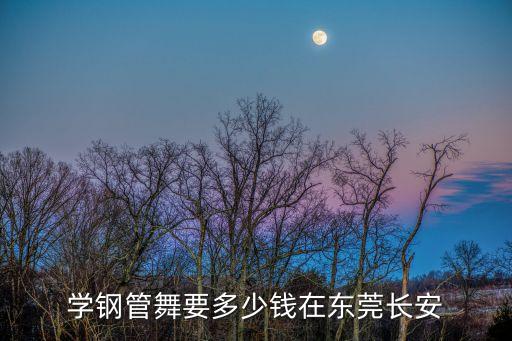 学钢管舞要多少钱在东莞长安