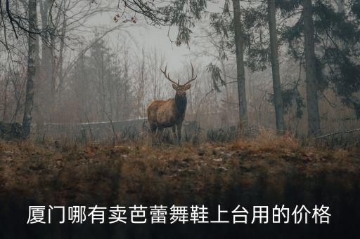 厦门哪有卖芭蕾舞鞋上台用的价格