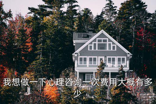 我想做一下心理咨询一次费用大概有多少