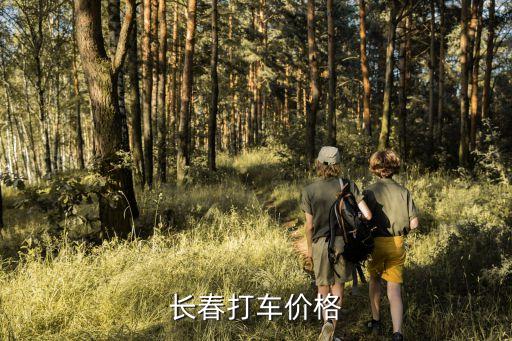 长春桂林路到万达打车多少钱，长春打车价格