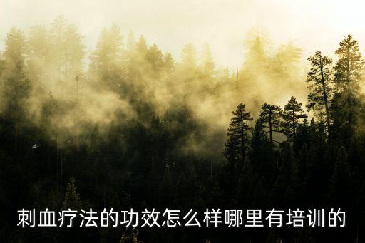 刺血疗法的功效怎么样哪里有培训的