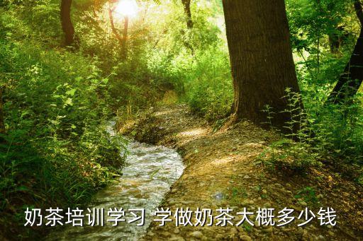 安徽省培训奶茶多少钱，正规的奶茶培训多少钱