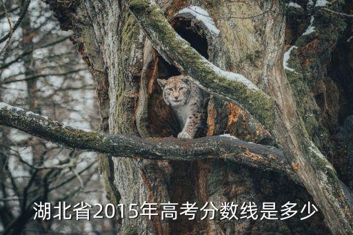 湖北省2015年高考分数线是多少