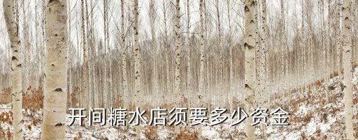 自己开个糖水店需要多少钱，请问开间糖水店大约要多少钱