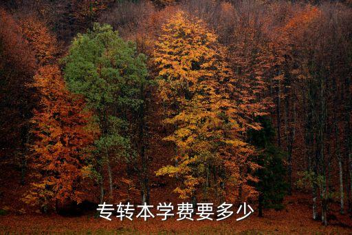 迈成专转本培训费是多少，专转本学费多少
