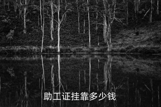 助工证挂靠多少钱