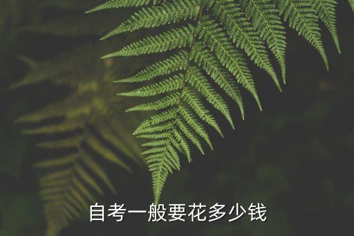 自考一般要花多少钱