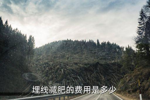 埋线减肥的费用是多少