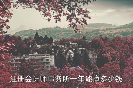 注册会计师事务所一年能挣多少钱