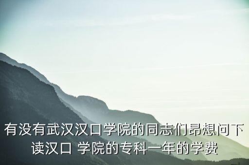 有没有武汉汉口学院的同志们昂想问下读汉口 学院的专科一年的学费