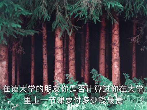 在读大学的朋友你是否计算过你在大学里上一节课要付多少钱最贵