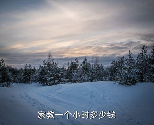 青州家教多少钱一小时，家教一个小时多少钱