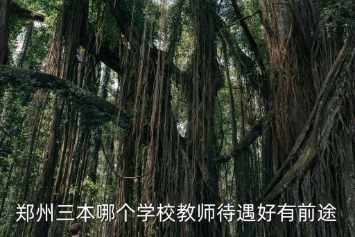 郑州三本老师月资多少，郑州大学的一般老师一个月的工资奖金 是多少