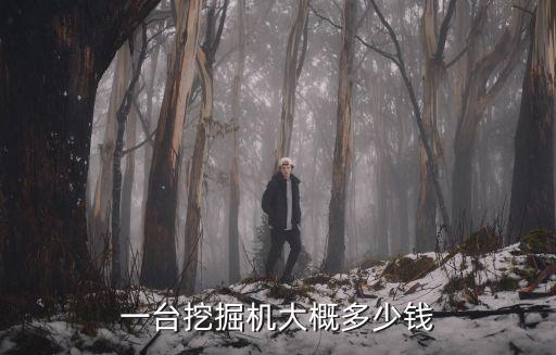一台挖掘机大概多少钱