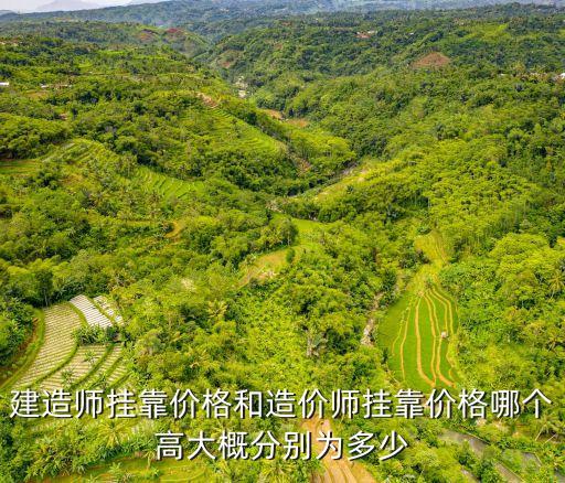 造价员挂靠最高多少钱，北京市安装造价员证挂靠一年多少钱