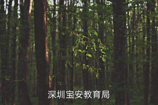 宝安石岩教育局电话是多少，请问深圳宝安区石岩镇计生办的电话是多少呀