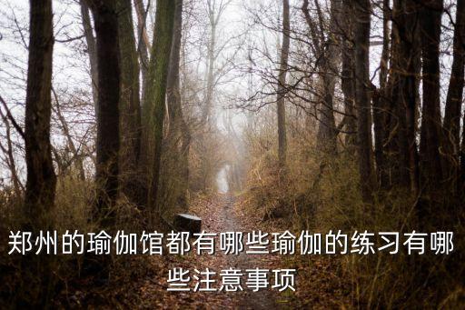郑州有多少家瑜伽馆，郑州航海路与未来路上有哪些家瑜伽会所