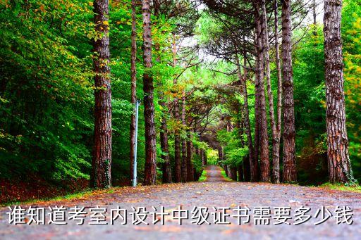 谁知道考室内设计中级证书需要多少钱