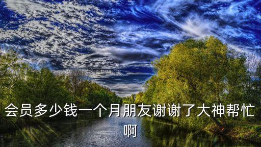 会员多少钱一个月朋友谢谢了大神帮忙啊