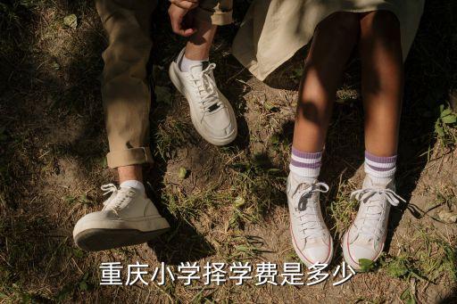 重庆小学择学费是多少
