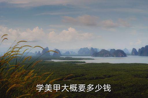 学美甲大概要多少钱