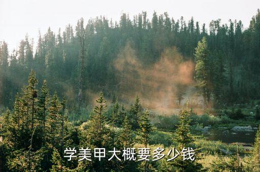 学美甲大概要多少钱