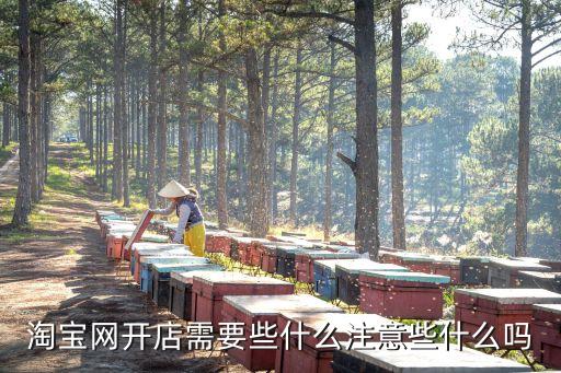 淘宝网开店需要些什么注意些什么吗